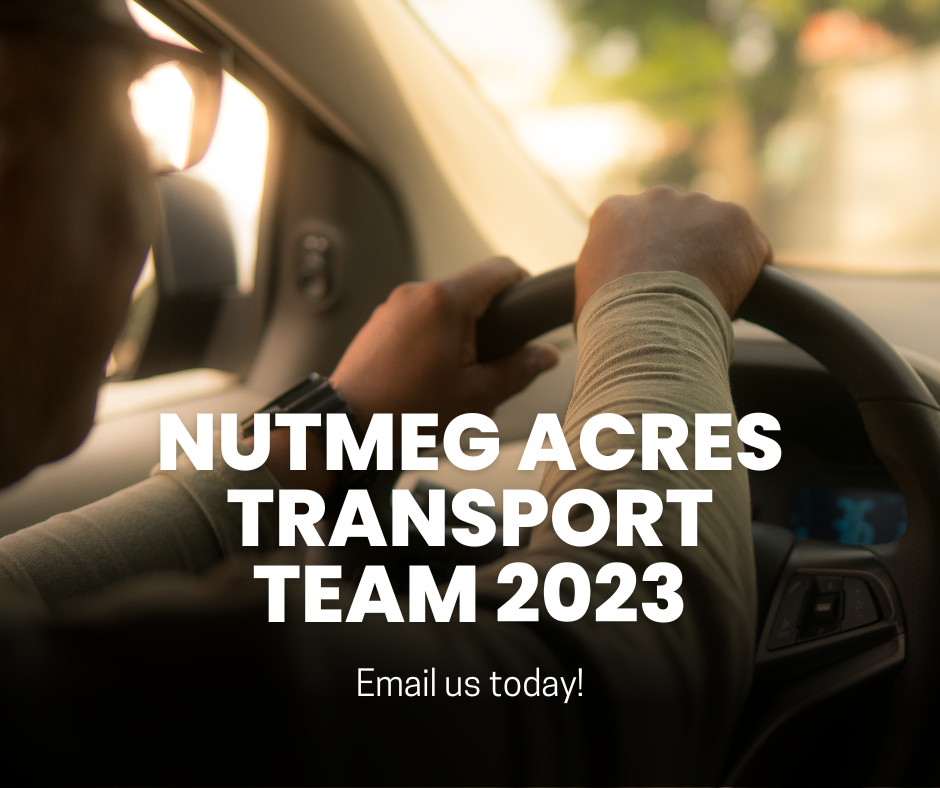 Blog Nutmeg Acres Wildlife Rehabilitation