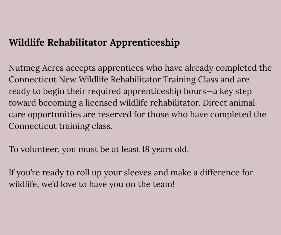Get Involved - Website